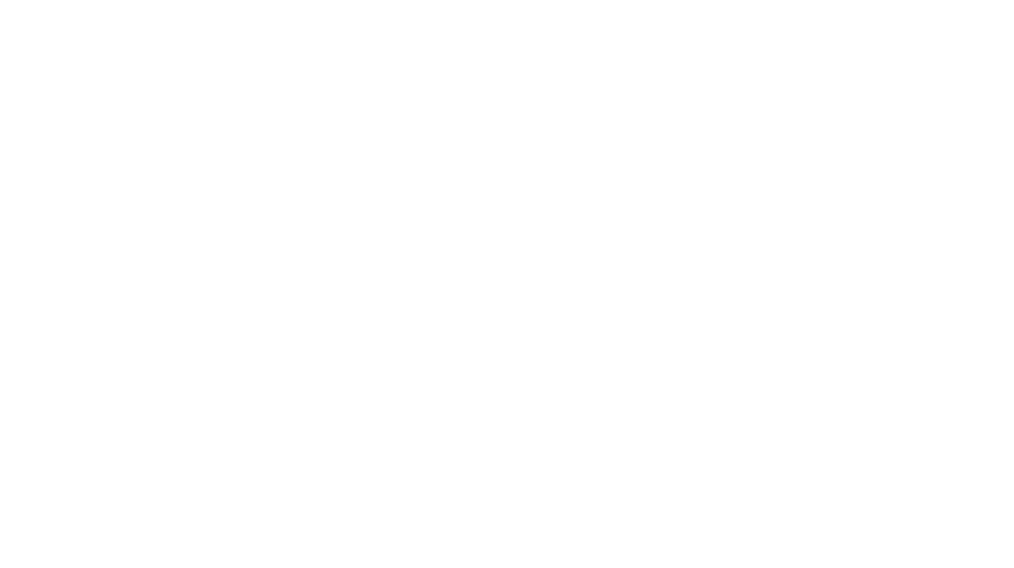 Fibbo is a digital supplier portal logo